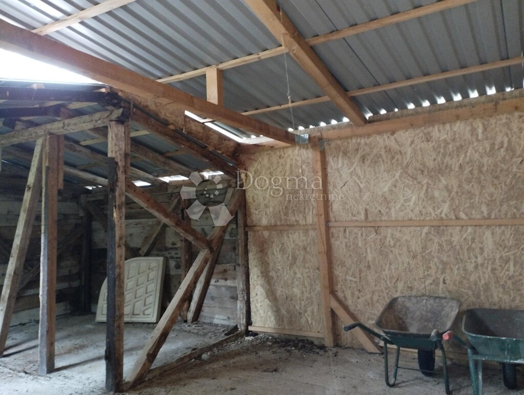 Image 10
