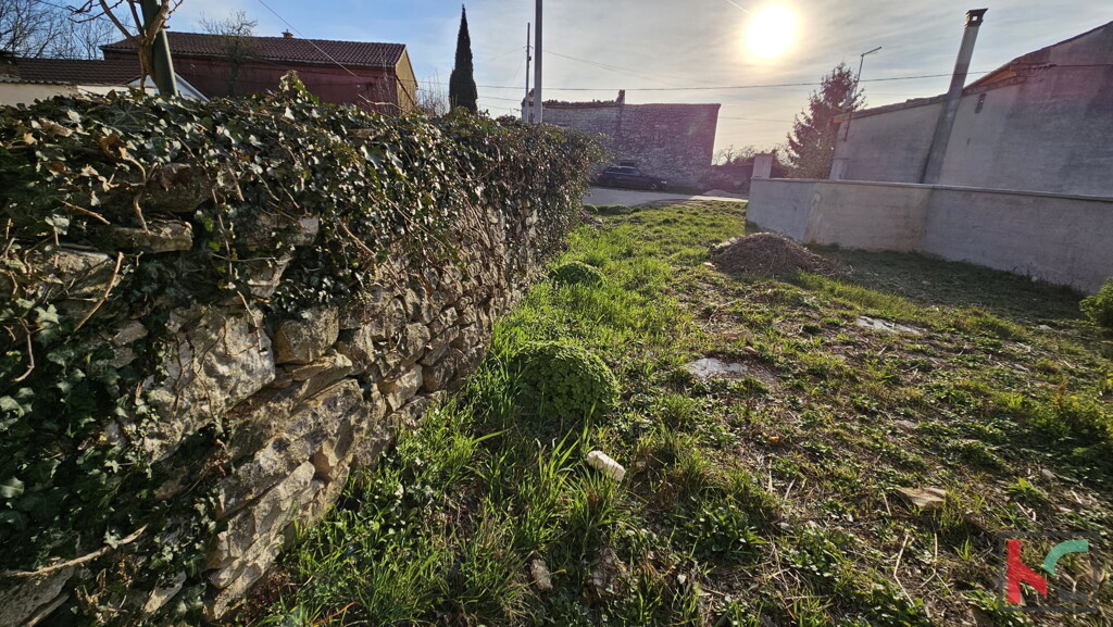 Image 14