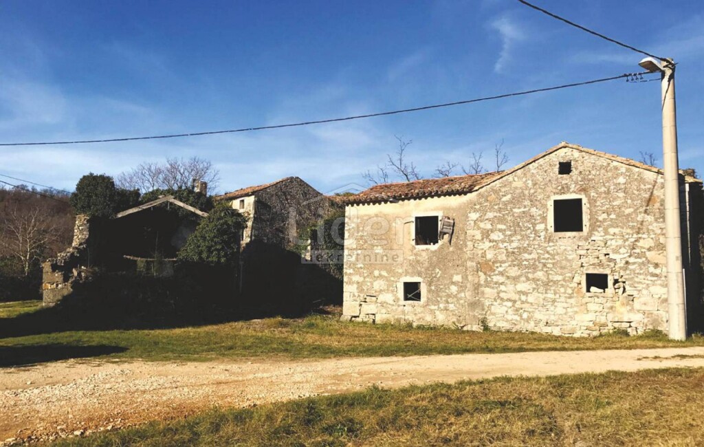 Image 15