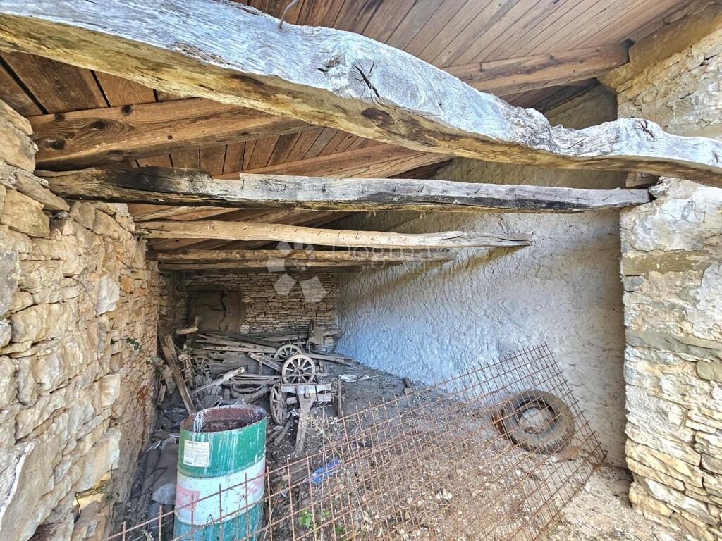 Image 13
