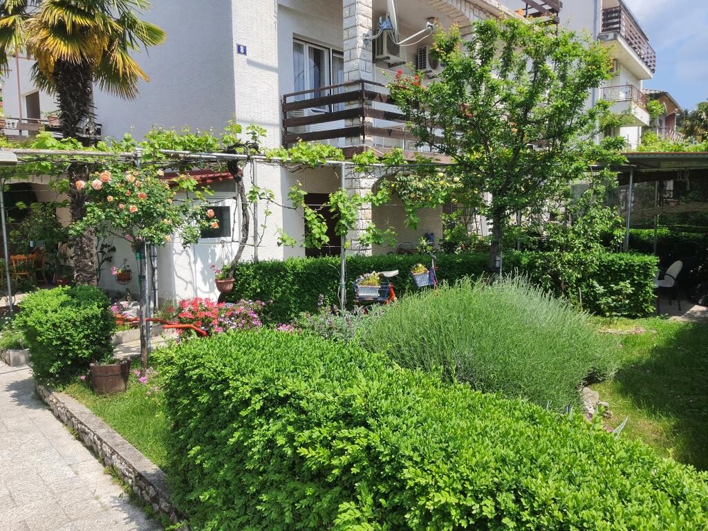 Image 3812556 - 2