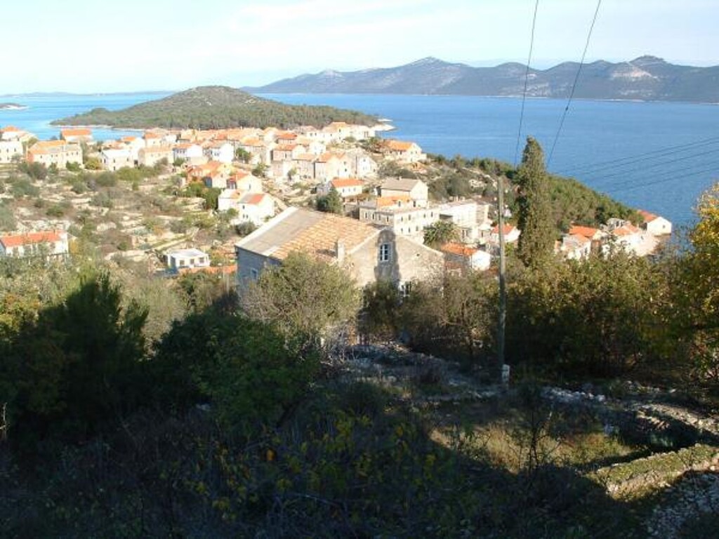 Image 3813331 - 11