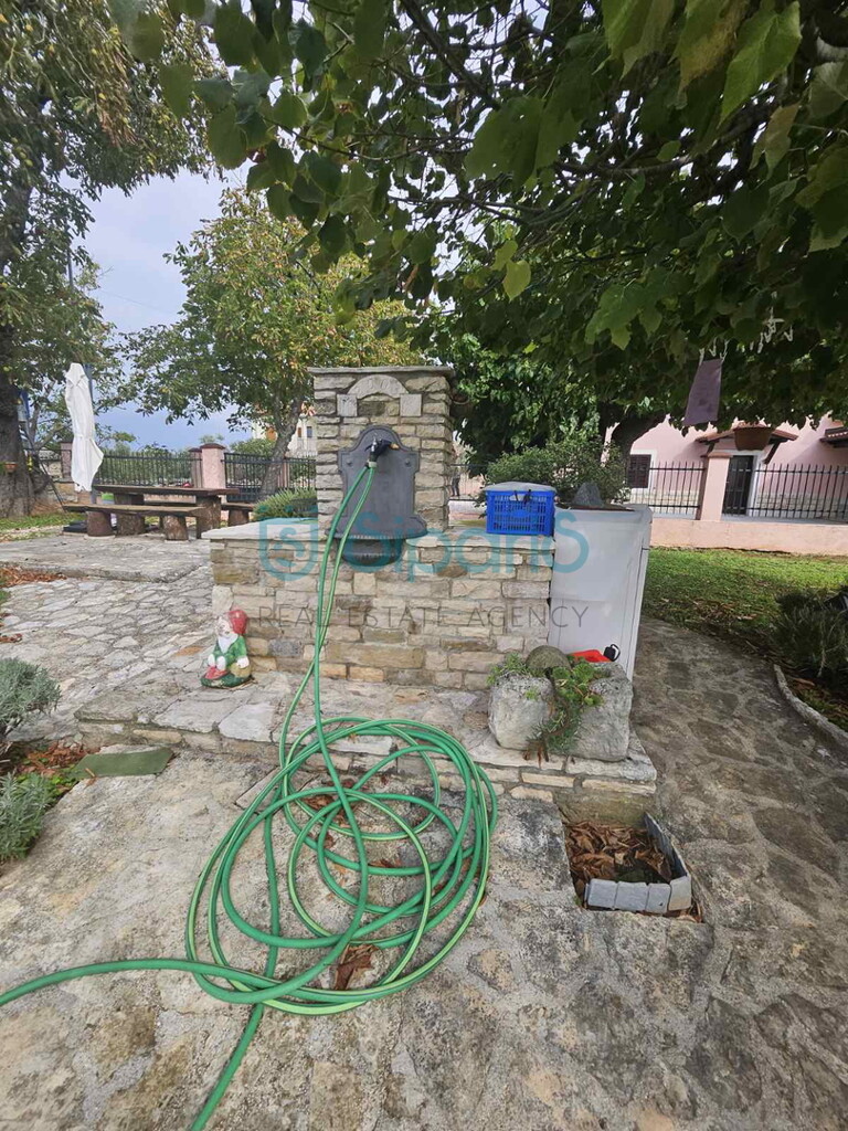 Image 22