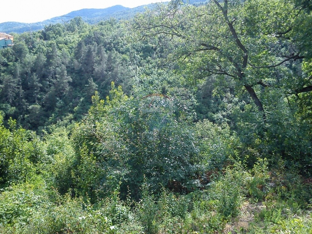 Image 5411037 - 3