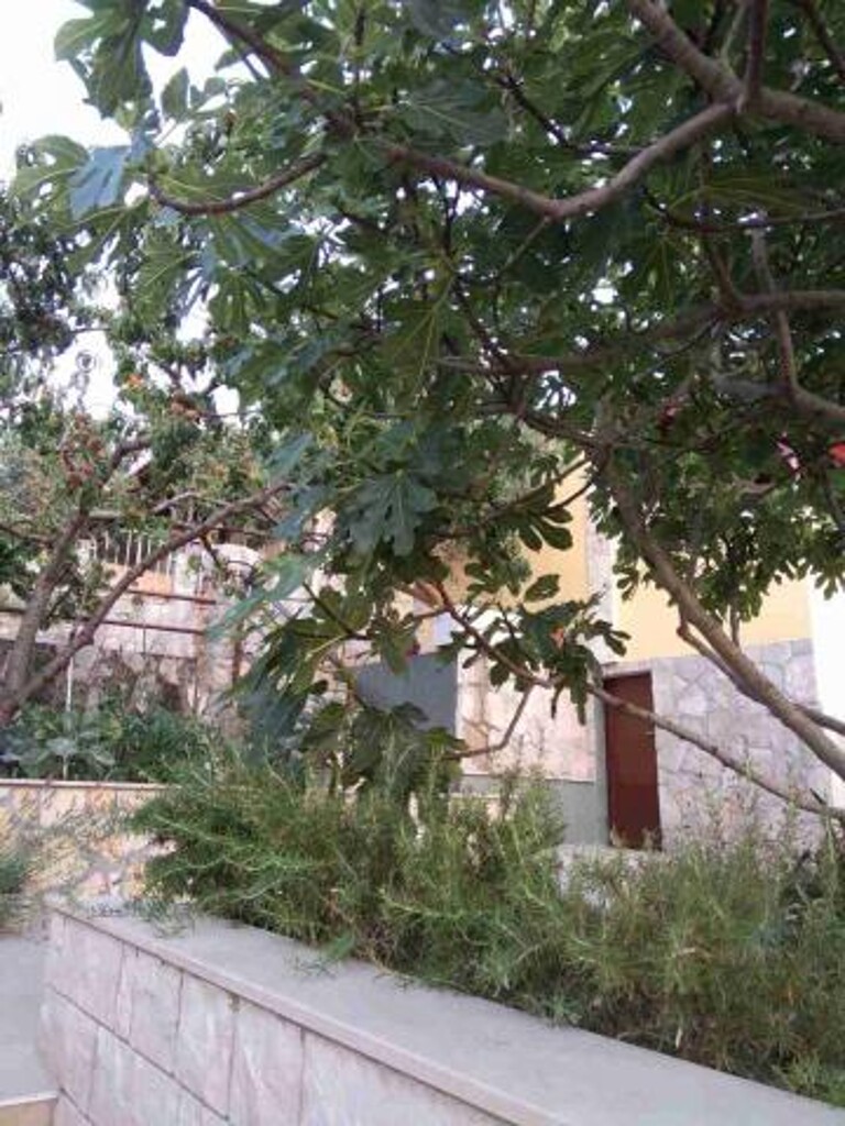 Image 3812312 - 19