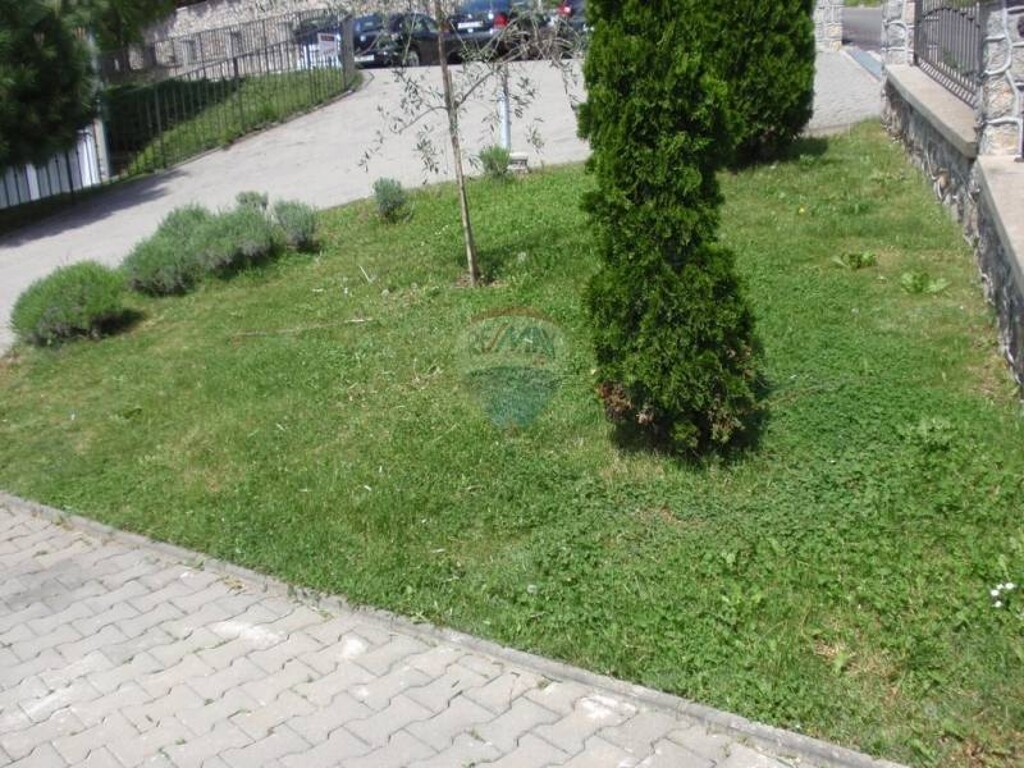 Image 5411203 - 24