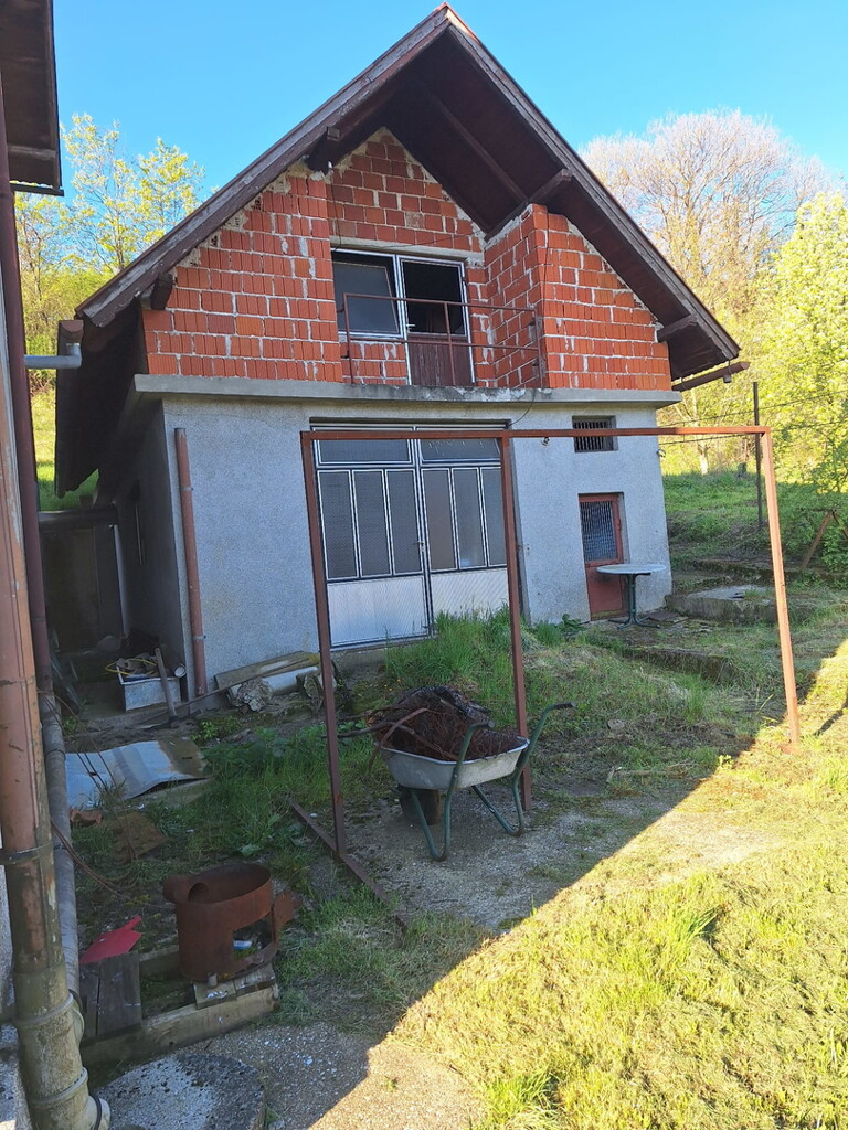 Image 13