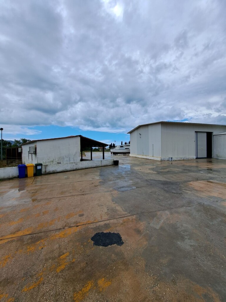 Image 11