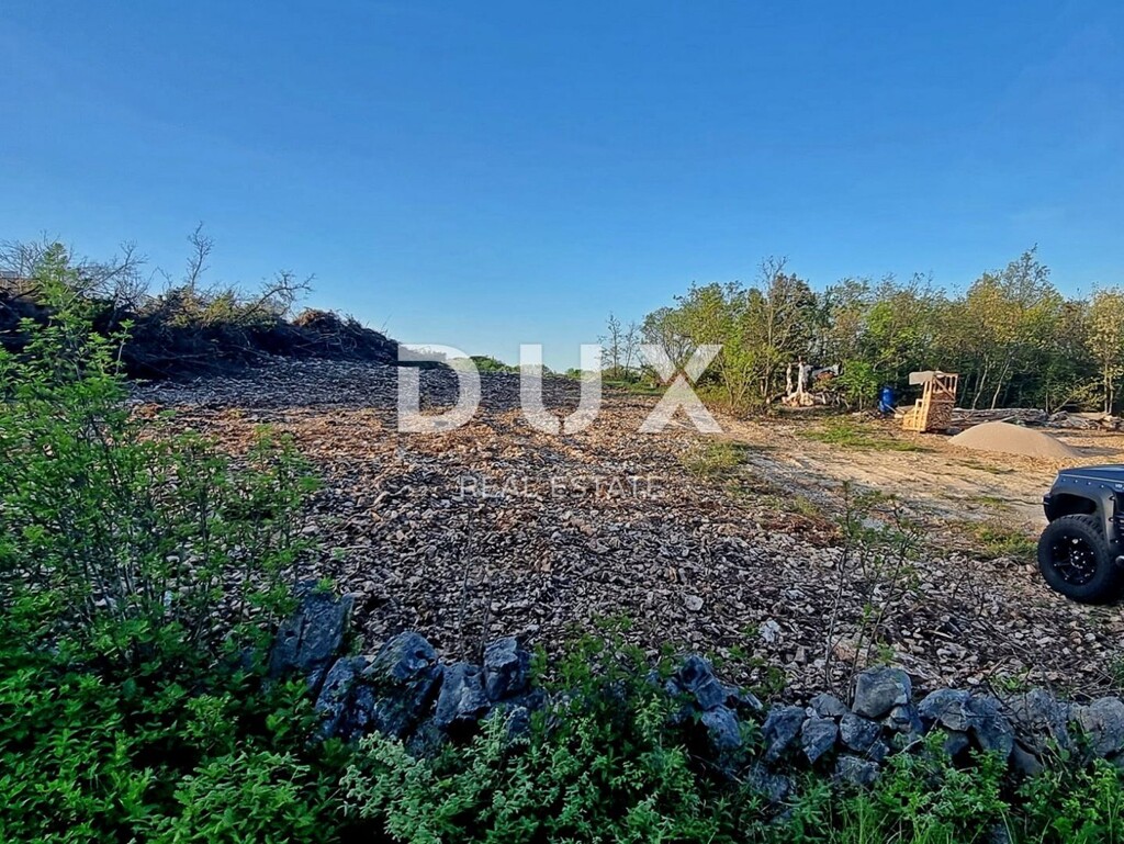 Image 15