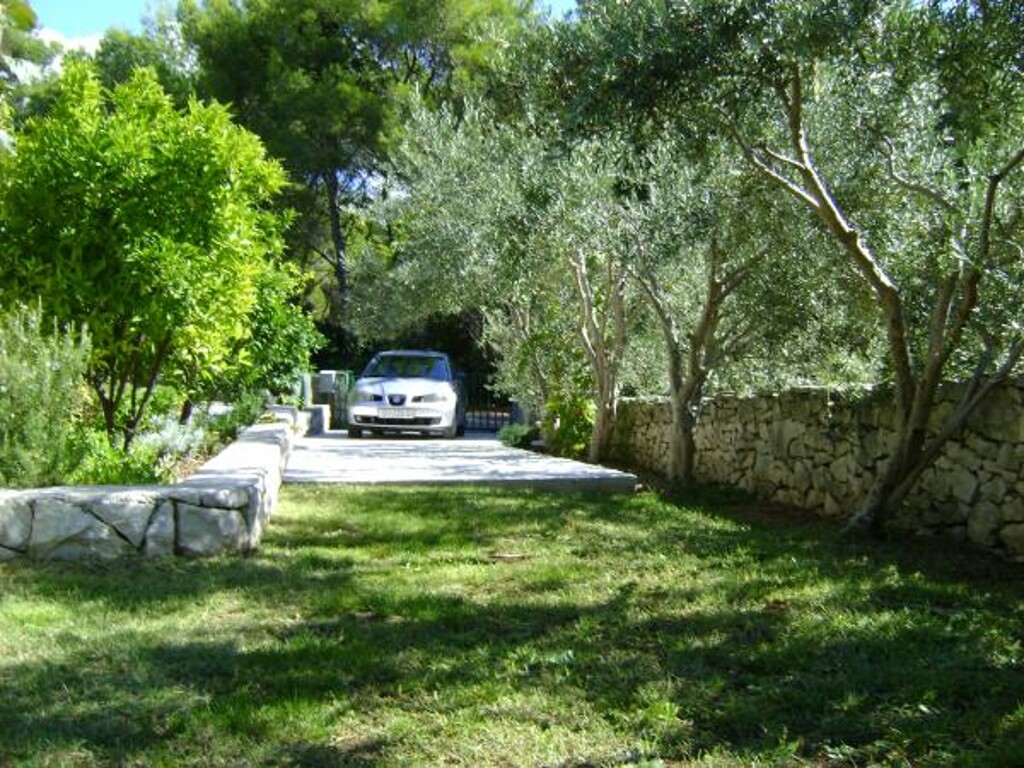 Image 3823106 - 17