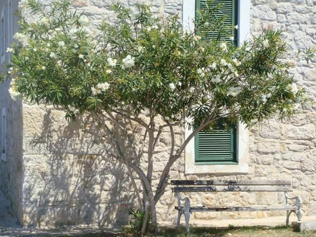 Image 3810658 - 10