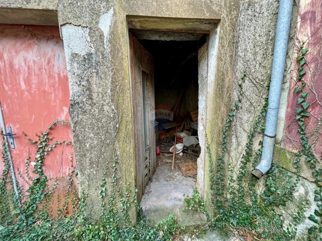 Image 15