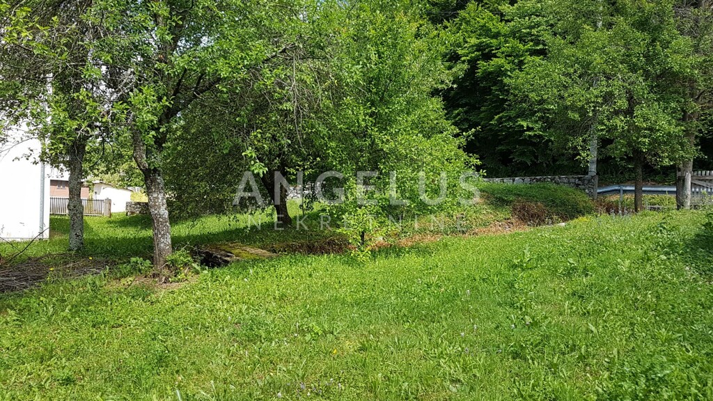 Image 6208326 - 9