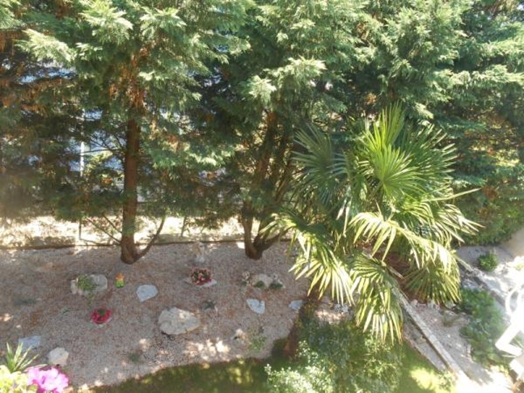 Image 3812451 - 2