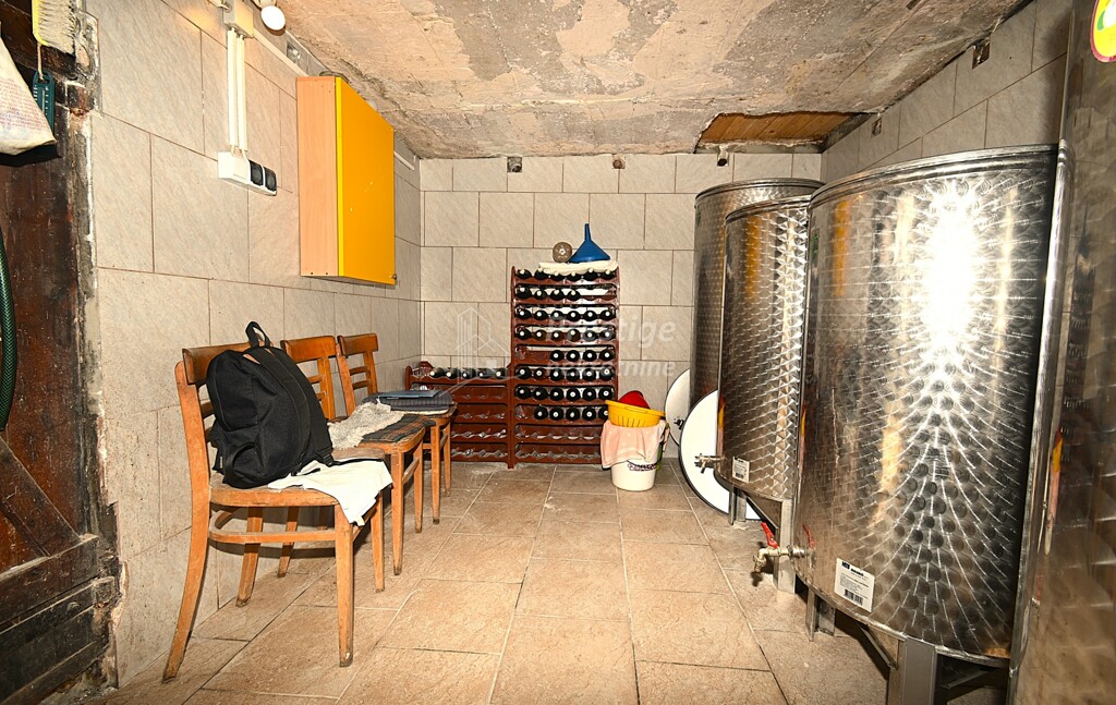 Image 13