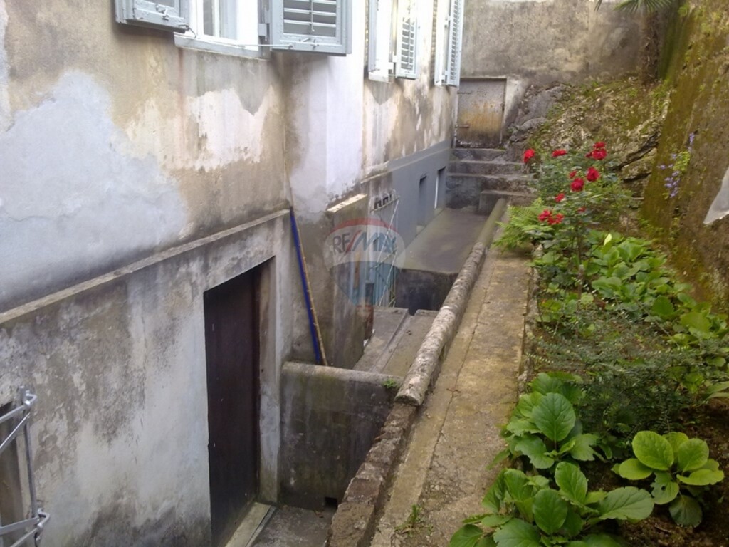 Image 5411033 - 12