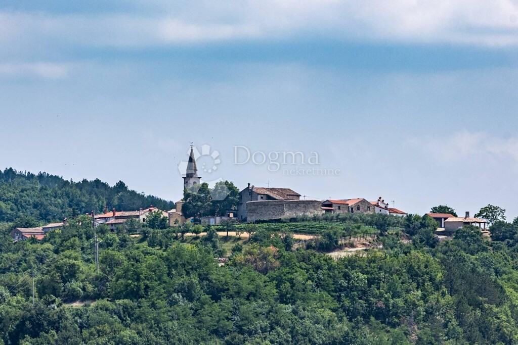Image 15