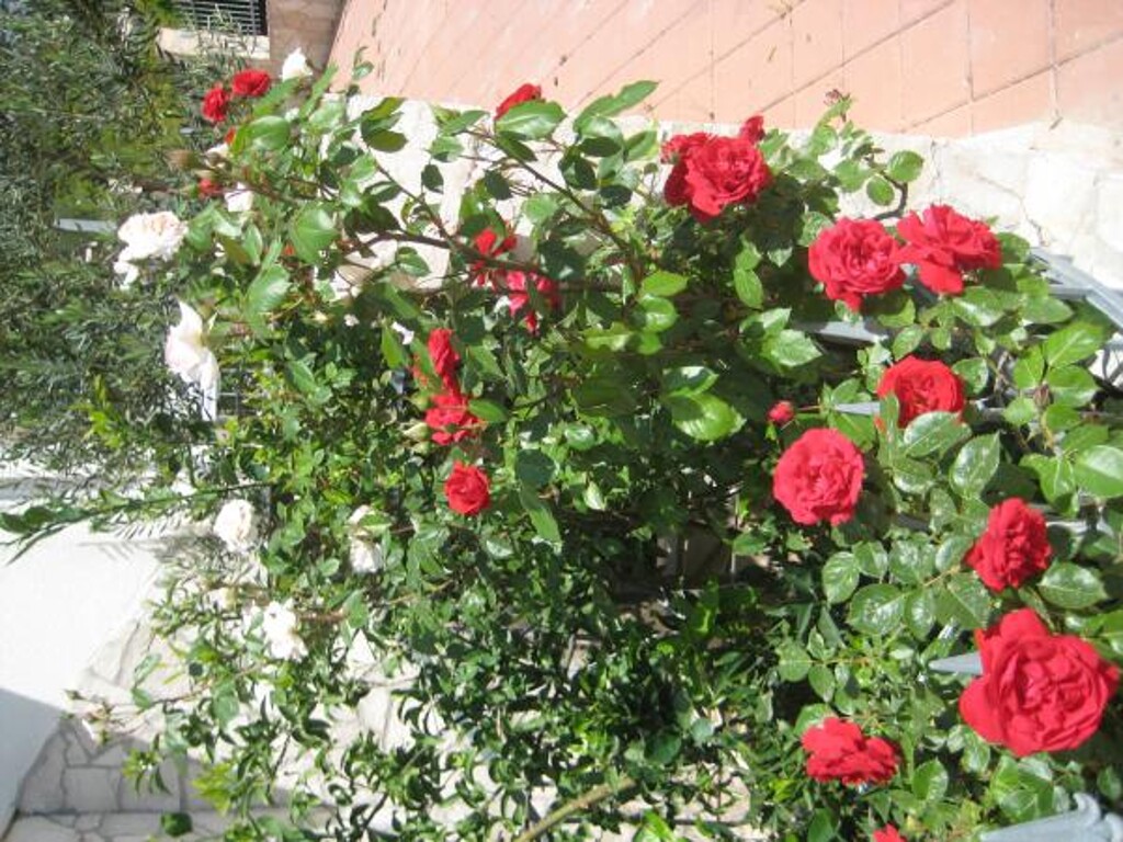 Image 3814371 - 19