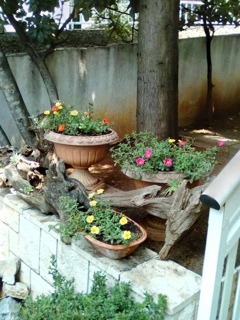 Image 3814113 - 6