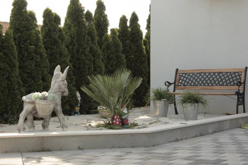 Image 3838741 - 6