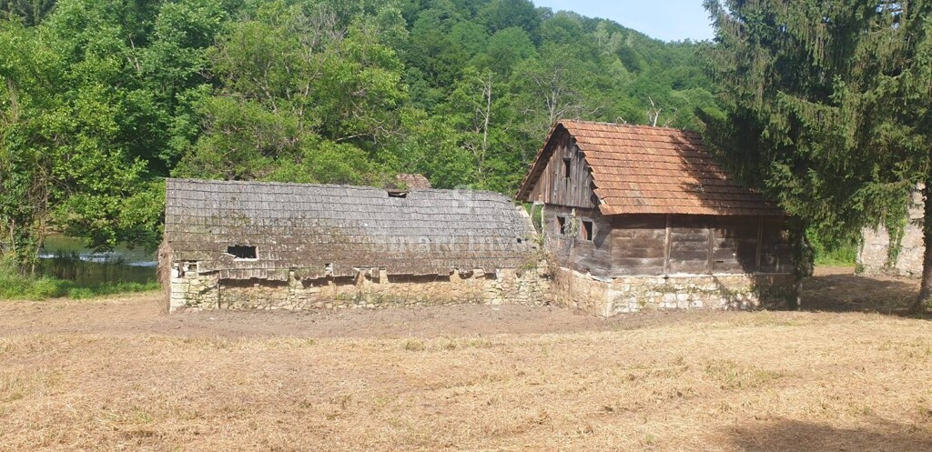 Image 12