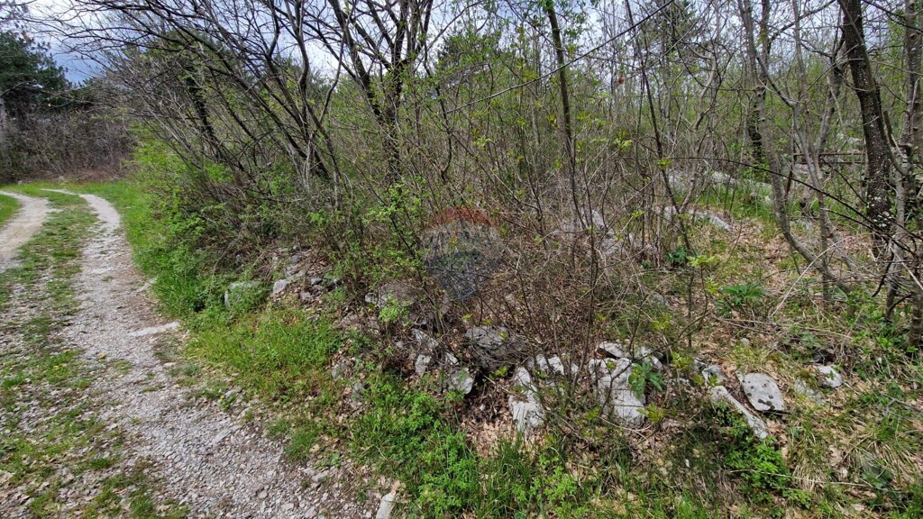 Image 5430035 - 8