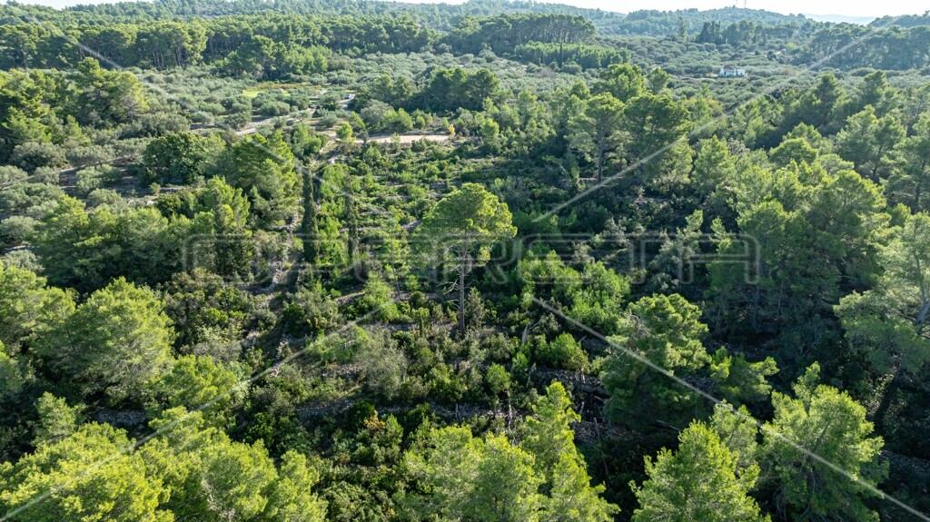 Image 13