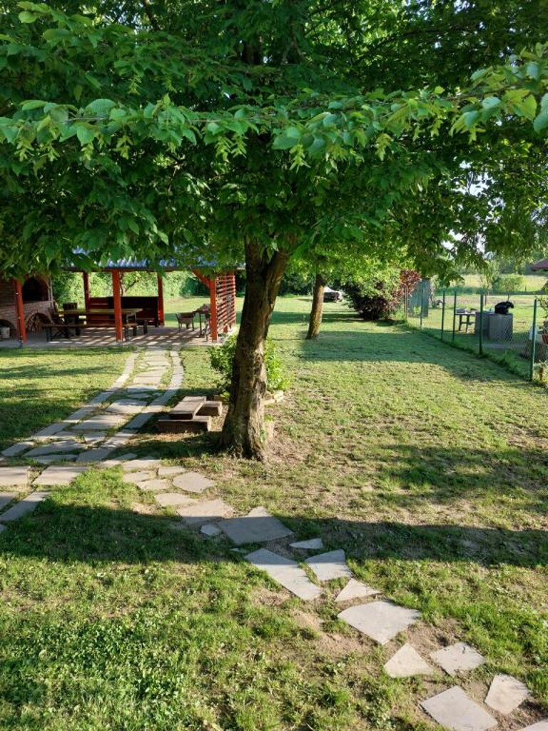 Image 5381900 - 8