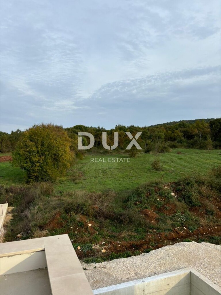 Image 13