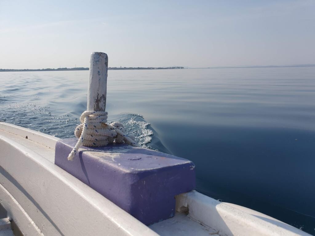 Image 3812981 - 18