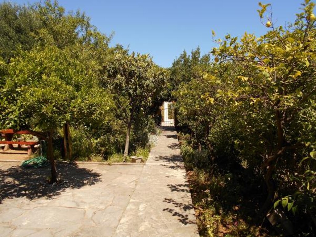 Image 3812045 - 3