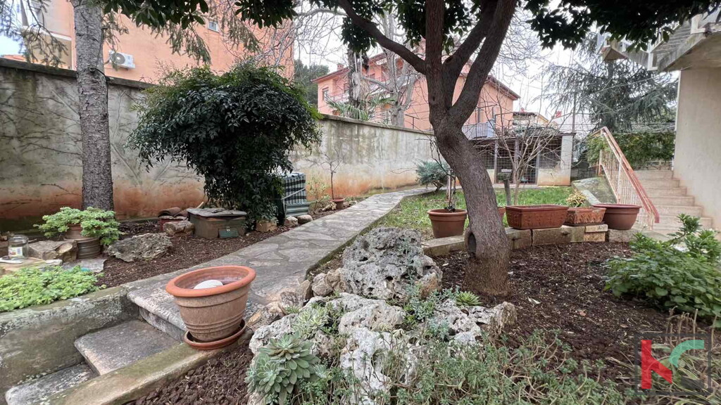 Image 20