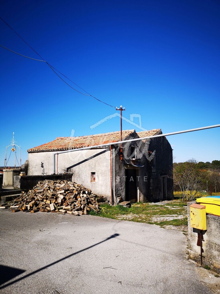 Image 8
