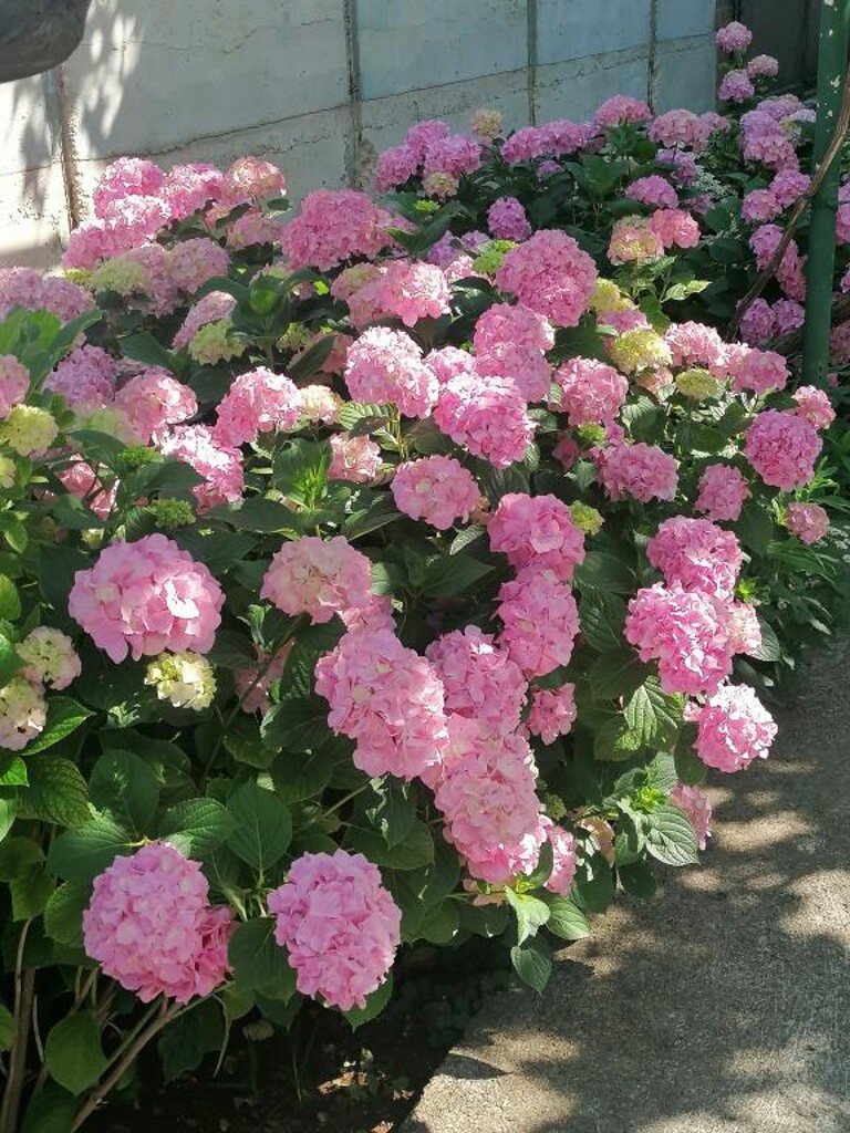 Image 3810564 - 11
