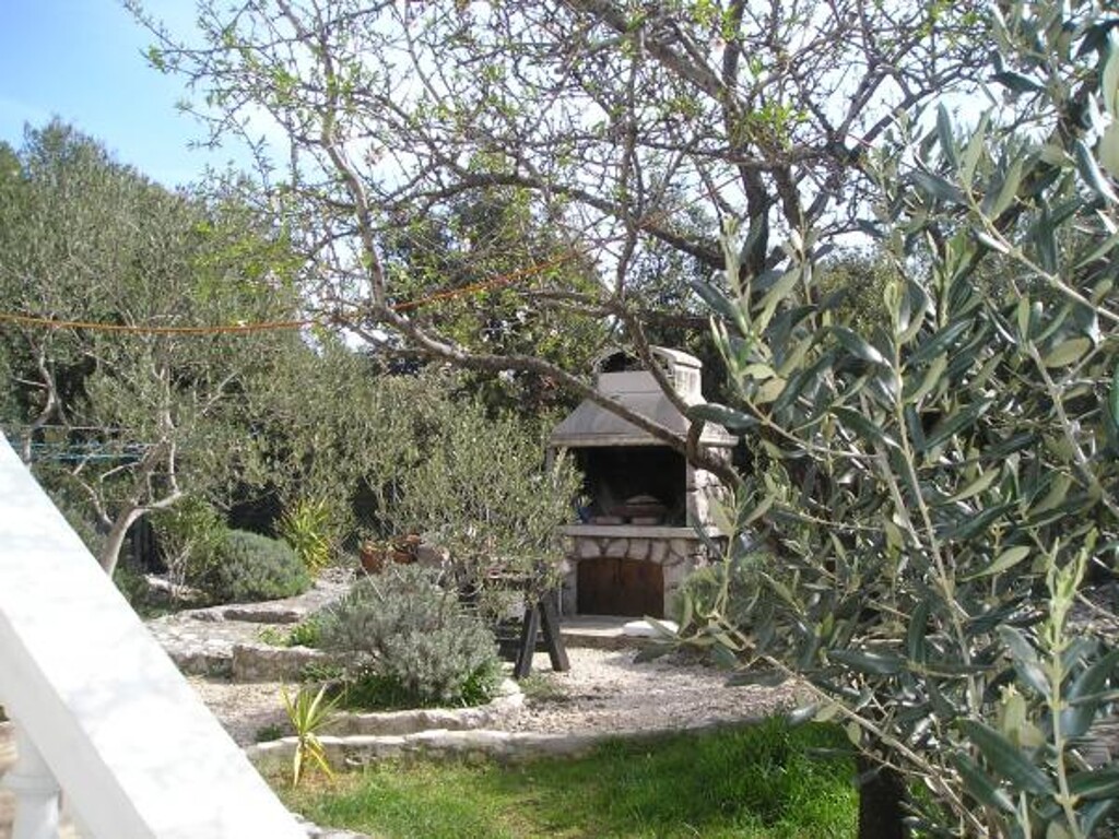Image 3811101 - 6