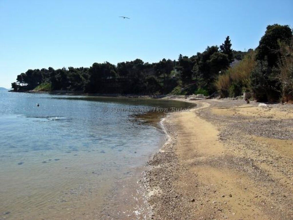 Image 3810765 - 9
