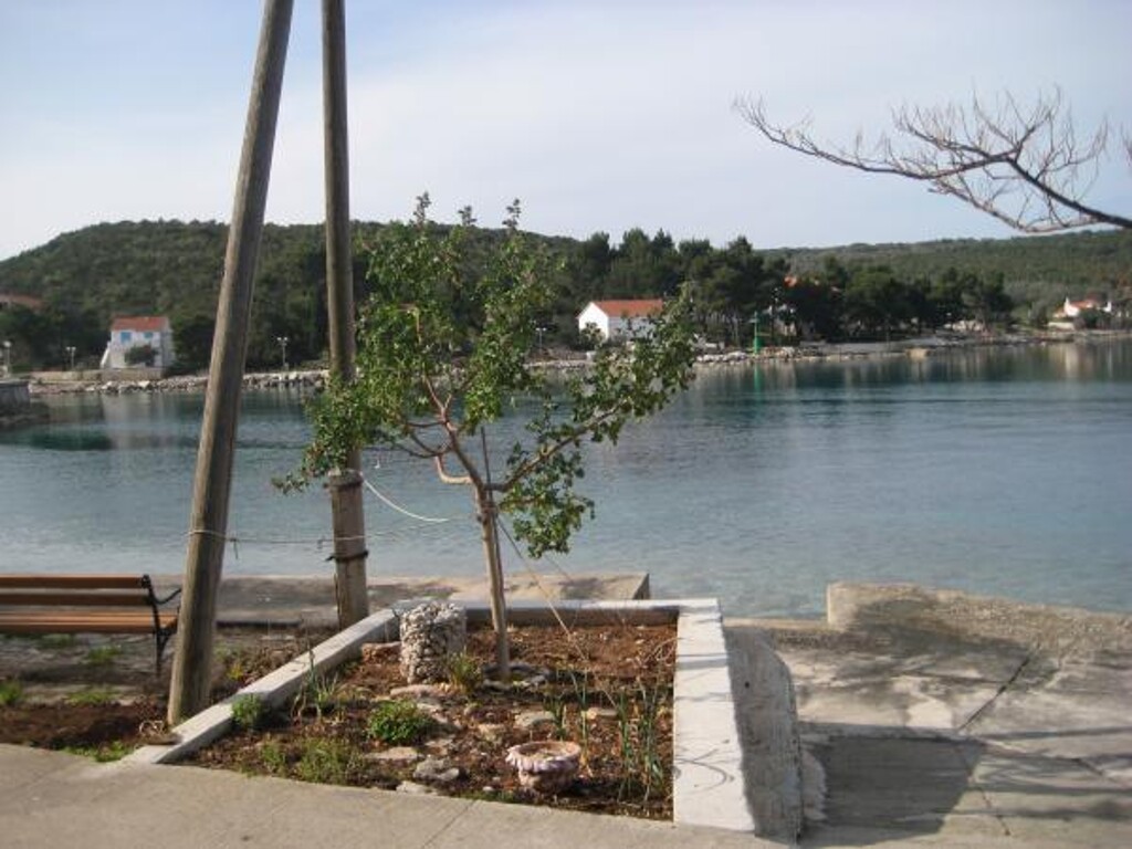 Image 3838781 - 3