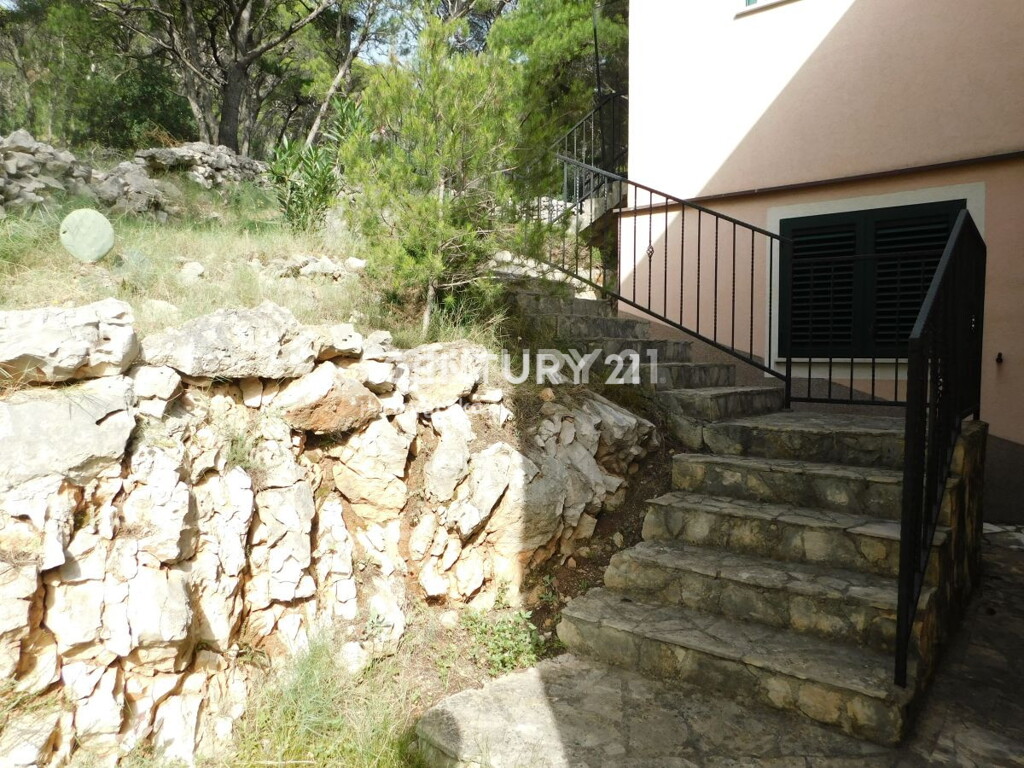 Image 28