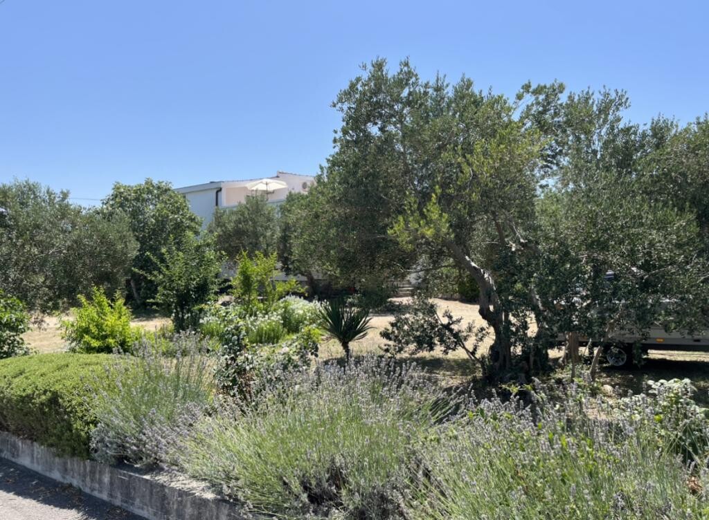 Image 3813070 - 18