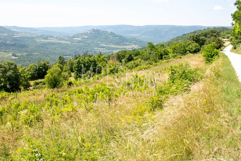 Image 6332021 - 8