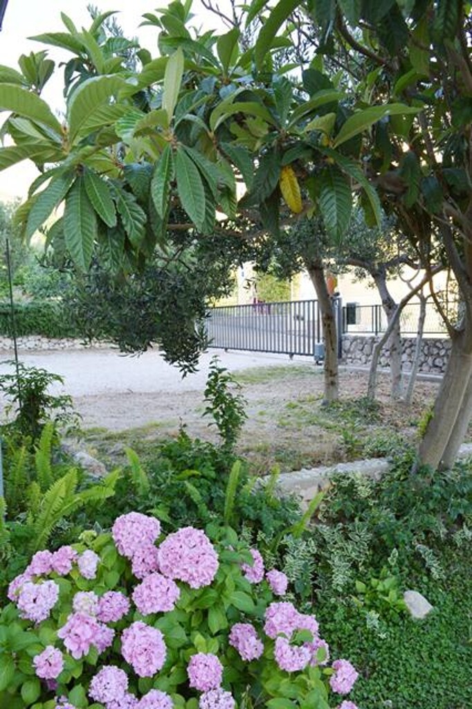 Image 3812940 - 30