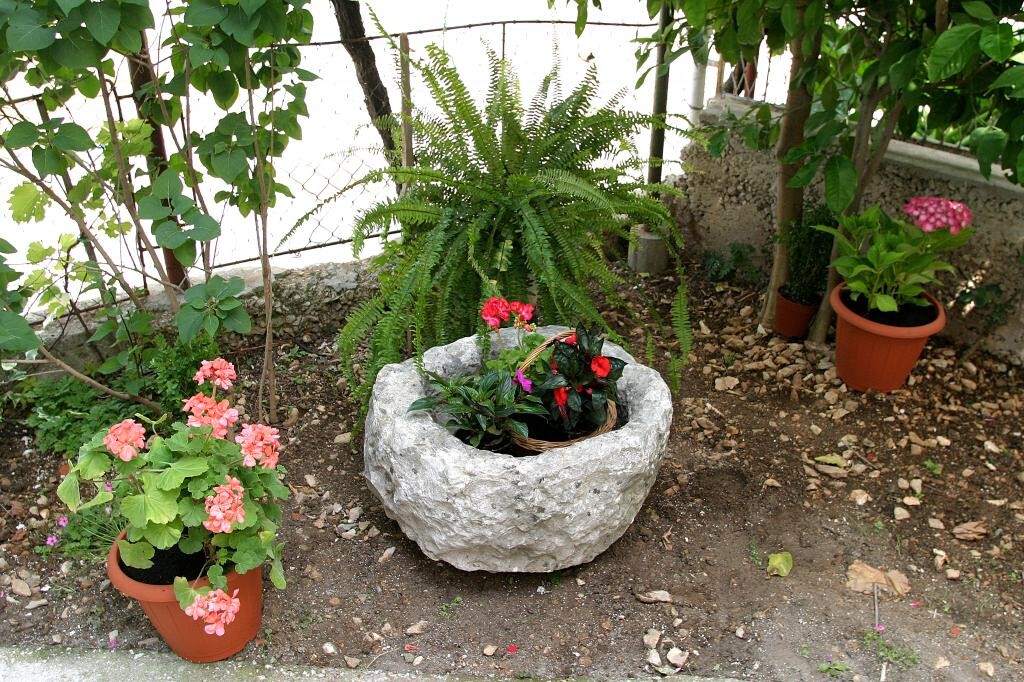 Image 3810943 - 15