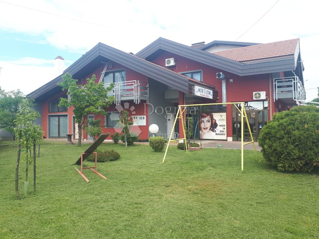 Image 12