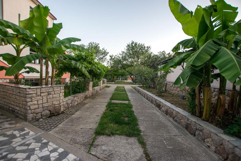 Image 3838967 - 3