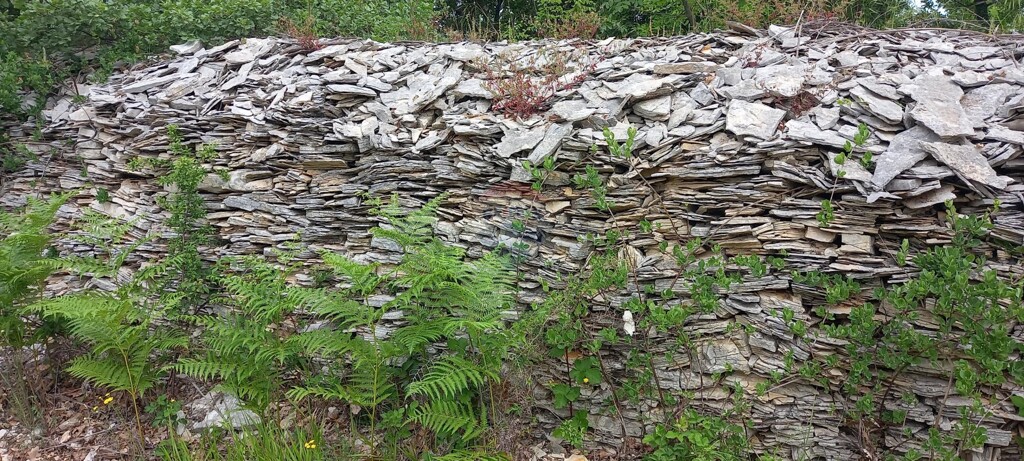 Image 22