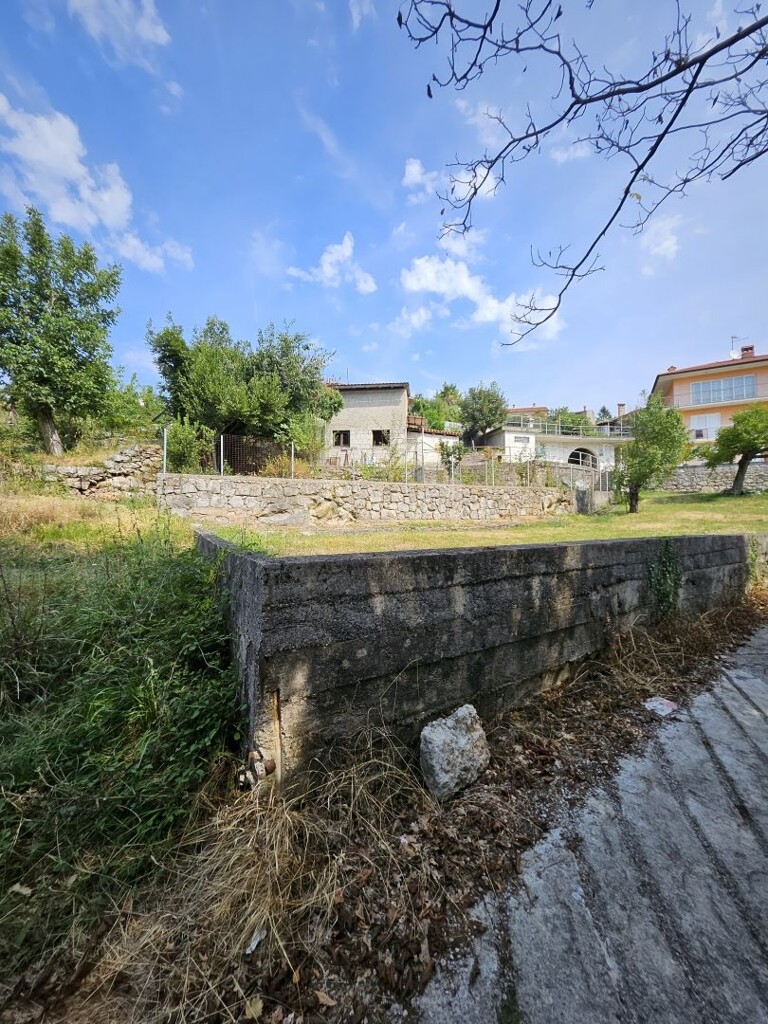 Image 14