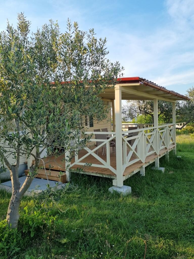 Image 3814313 - 9