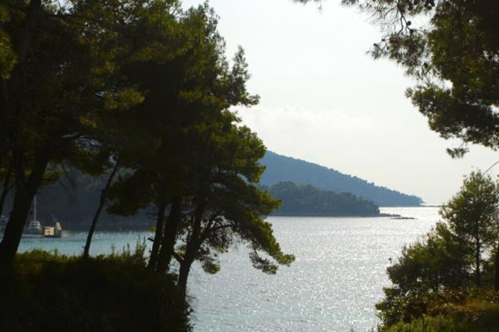 Image 3815017 - 3