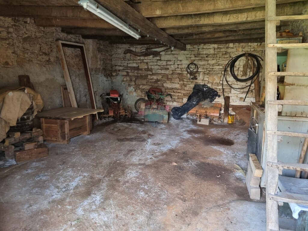 Image 13