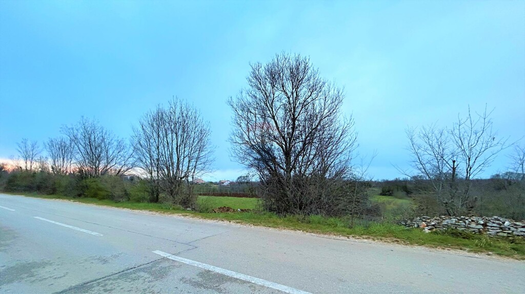 Image 5430109 - 2
